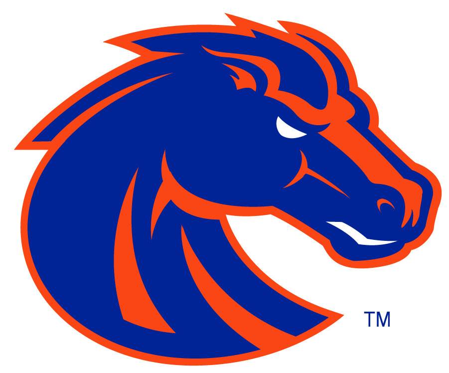 Boise State Broncos 2002-2012 Secondary Logo v6 diy iron on heat transfer